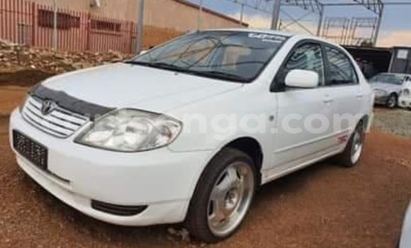 Buy Used Toyota Corolla White Car in Bulembu in Hhohho Buy Used Toyota Corolla White Car in Bulembu in Hhohho