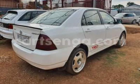 Buy Used Toyota Corolla White Car in Bulembu in Hhohho Buy Used Toyota Corolla White Car in Bulembu in Hhohho