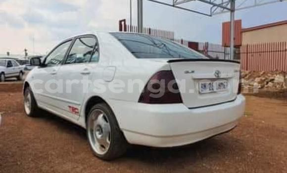 Buy Used Toyota Corolla White Car in Bulembu in Hhohho Buy Used Toyota Corolla White Car in Bulembu in Hhohho