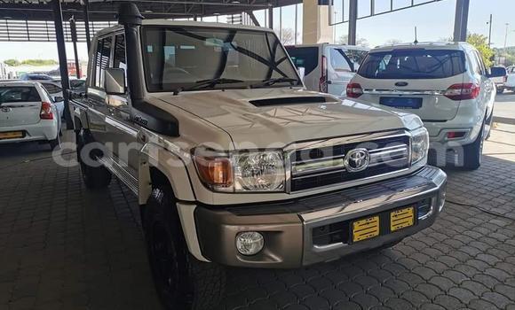 Buy Used Toyota Land Cruiser Other Car in Bulembu in Hhohho Buy Used Toyota Land Cruiser Other Car in Bulembu in Hhohho