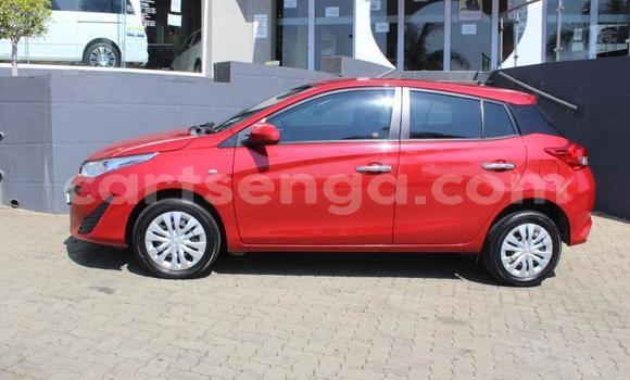 Buy Used Toyota Yaris Red Car in Mbabane in Manzini Buy Used Toyota Yaris Red Car in Mbabane in Manzini