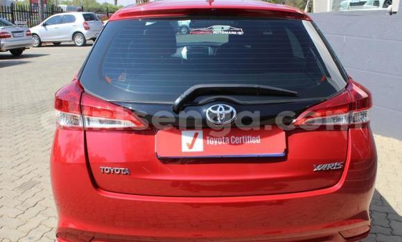 Buy Used Toyota Yaris Red Car in Mbabane in Manzini Buy Used Toyota Yaris Red Car in Mbabane in Manzini
