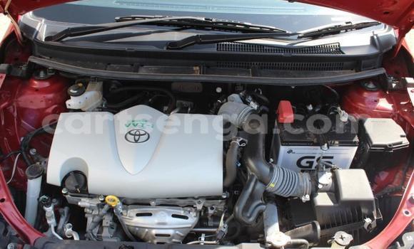 Buy Used Toyota Yaris Red Car in Mbabane in Manzini Buy Used Toyota Yaris Red Car in Mbabane in Manzini