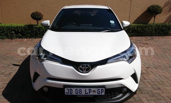 Buy Used Toyota C-HR White Car in Ezulwini in Hhohho