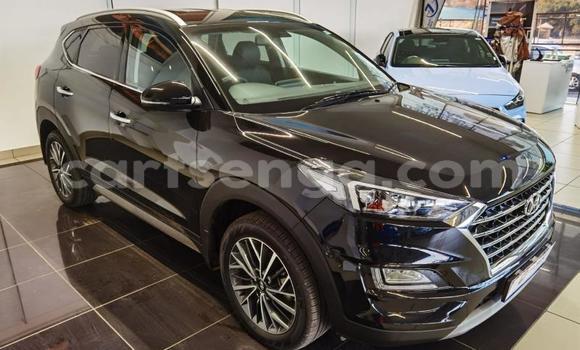 Buy Used Hyundai Tucson Black Car in Ezulwini in Hhohho Buy Used Hyundai Tucson Black Car in Ezulwini in Hhohho