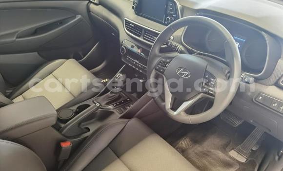 Buy Used Hyundai Tuscani Blue Car in Ezulwini in Hhohho Buy Used Hyundai Tuscani Blue Car in Ezulwini in Hhohho