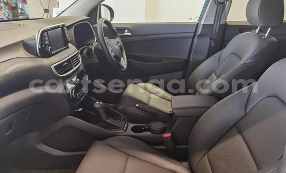 Buy Used Hyundai Tuscani Blue Car in Ezulwini in Hhohho Buy Used Hyundai Tuscani Blue Car in Ezulwini in Hhohho