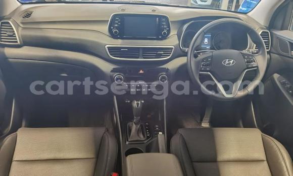 Buy Used Hyundai Tuscani Blue Car in Ezulwini in Hhohho Buy Used Hyundai Tuscani Blue Car in Ezulwini in Hhohho