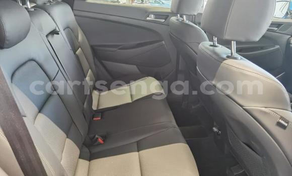 Buy Used Hyundai Tuscani Blue Car in Ezulwini in Hhohho Buy Used Hyundai Tuscani Blue Car in Ezulwini in Hhohho