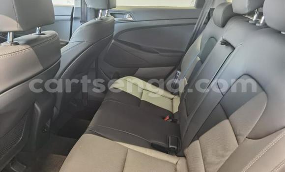 Buy Used Hyundai Tuscani Blue Car in Ezulwini in Hhohho Buy Used Hyundai Tuscani Blue Car in Ezulwini in Hhohho