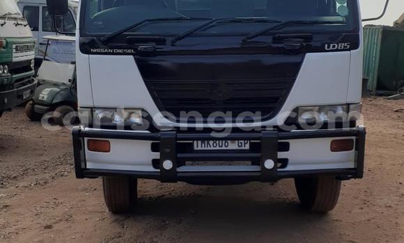 Buy Used Ricomag BW200 Other Truck in Big Bend in Lubombo Buy Used Ricomag BW200 Other Truck in Big Bend in Lubombo