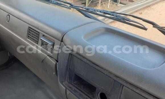 Buy Used Ricomag BW200 Other Truck in Big Bend in Lubombo Buy Used Ricomag BW200 Other Truck in Big Bend in Lubombo