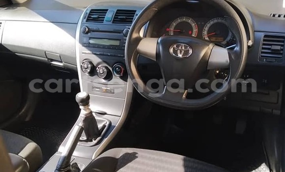 Acheter Occasion Voiture Toyota Corolla Bleu à Bhunya, Manzini Acheter Occasion Voiture Toyota Corolla Bleu à Bhunya, Manzini