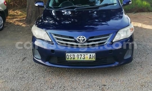 Acheter Occasion Voiture Toyota Corolla Bleu à Bhunya, Manzini Acheter Occasion Voiture Toyota Corolla Bleu à Bhunya, Manzini