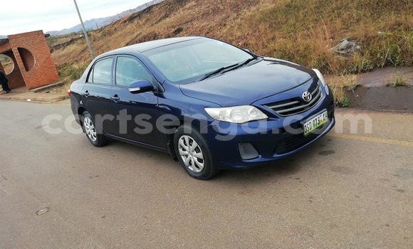 Acheter Occasion Voiture Toyota Corolla Bleu à Bhunya, Manzini