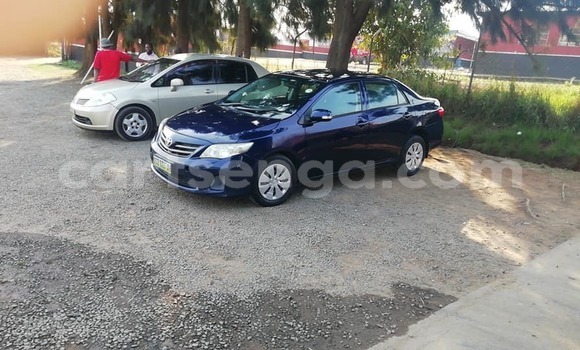 Acheter Occasion Voiture Toyota Corolla Bleu à Bhunya, Manzini Acheter Occasion Voiture Toyota Corolla Bleu à Bhunya, Manzini