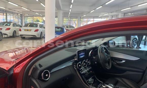 Buy Used Mercedes‒Benz C–Class Red Car in Big Bend in Lubombo Buy Used Mercedes‒Benz C–Class Red Car in Big Bend in Lubombo