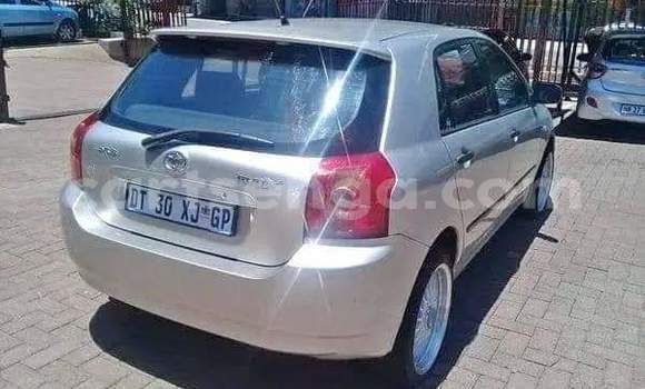 Buy Used Toyota Runx Silver Car in Bulembu in Hhohho Buy Used Toyota Runx Silver Car in Bulembu in Hhohho