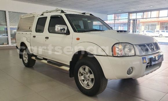 Buy Used Nissan Hardbody White Car in Hlatikulu in Shiselweni District