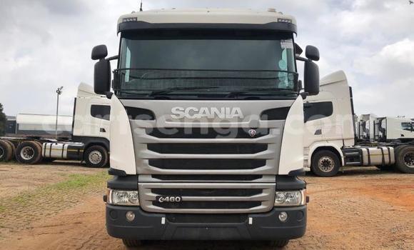 Nunua Ilio tumika Scania R420 White Lori ndani ya Big Bend nchini Lubombo Nunua Ilio tumika Scania R420 White Lori ndani ya Big Bend nchini Lubombo