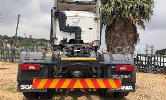 Nunua Ilio tumika Scania R420 White Lori ndani ya Big Bend nchini Lubombo Nunua Ilio tumika Scania R420 White Lori ndani ya Big Bend nchini Lubombo