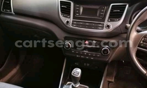 Buy Used Hyundai ix35 Red Car in Ezulwini in Hhohho Buy Used Hyundai ix35 Red Car in Ezulwini in Hhohho