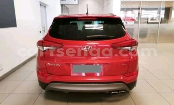Buy Used Hyundai ix35 Red Car in Ezulwini in Hhohho Buy Used Hyundai ix35 Red Car in Ezulwini in Hhohho