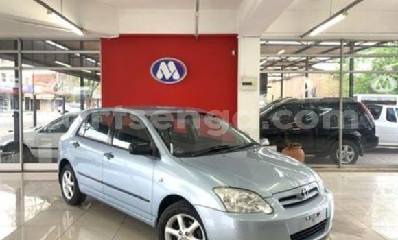 Nunua Ilio tumika Toyota Runx Beige Gari ndani ya Hlatikulu nchini Wilaya ya Shiselweni Nunua Ilio tumika Toyota Runx Beige Gari ndani ya Hlatikulu nchini Wilaya ya Shiselweni