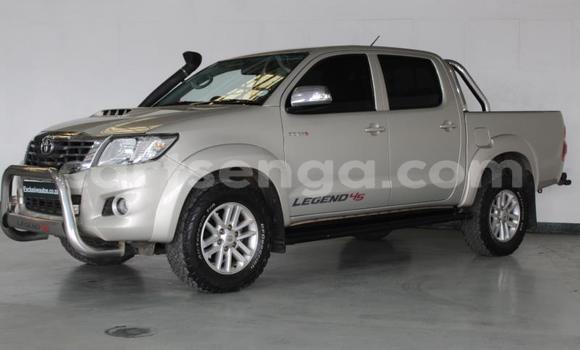 Nunua Ilio tumika Toyota Hilux Beige Gari ndani ya Hlatikulu nchini Wilaya ya Shiselweni Nunua Ilio tumika Toyota Hilux Beige Gari ndani ya Hlatikulu nchini Wilaya ya Shiselweni