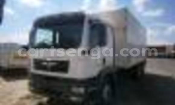 Buy Used Scania R420 White Truck in Ezulwini in Hhohho