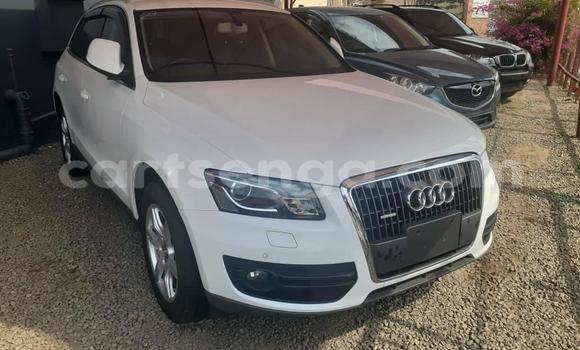 Buy Used Audi Q5 White Car in Bhunya in Manzini Buy Used Audi Q5 White Car in Bhunya in Manzini