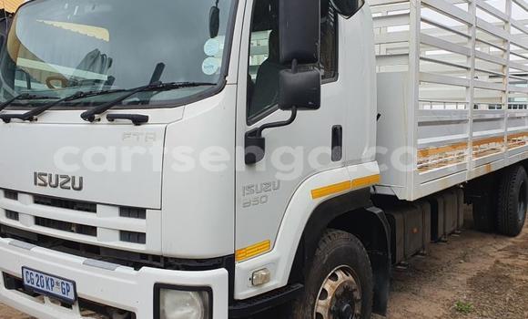Acheter Occasion Utilitaire Isuzu FTR 850 Blanc à Big Bend, Lubombo