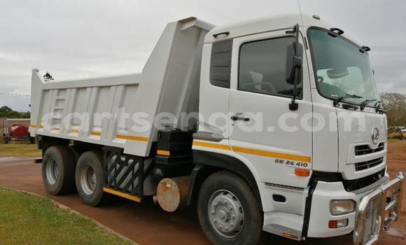 Nunua Ilio tumika Nissan UD White Lori ndani ya Bulembu nchini Hhohho Nunua Ilio tumika Nissan UD White Lori ndani ya Bulembu nchini Hhohho