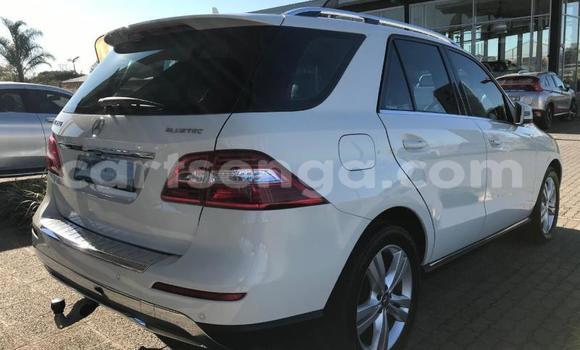 Buy Used Mercedes‒Benz AMG GLC White Car in Hluti in Shiselweni District Buy Used Mercedes‒Benz AMG GLC White Car in Hluti in Shiselweni District