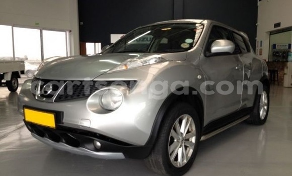 Acheter Occasion Voiture Nissan Juke Gris à Mbabane, Manzini
