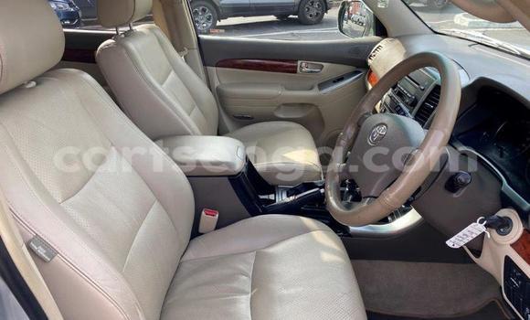 Buy Used Toyota Land Cruiser Prado Other Car in Big Bend in Lubombo District Buy Used Toyota Land Cruiser Prado Other Car in Big Bend in Lubombo District