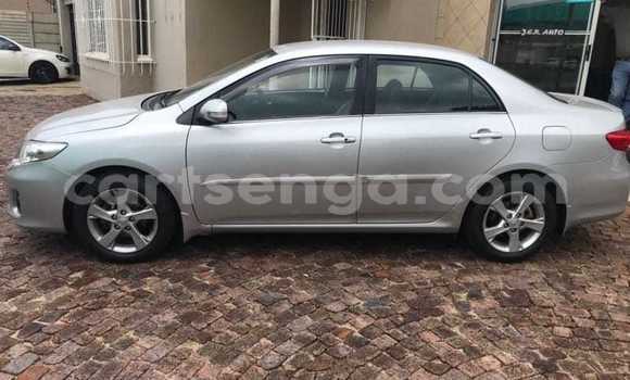 Buy Used Toyota Corolla Silver Car in Hlatikulu in Shiselweni District Buy Used Toyota Corolla Silver Car in Hlatikulu in Shiselweni District