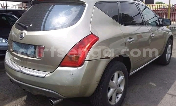 Buy Used Nissan Avenir Silver Car in Ezulwini in Hhohho