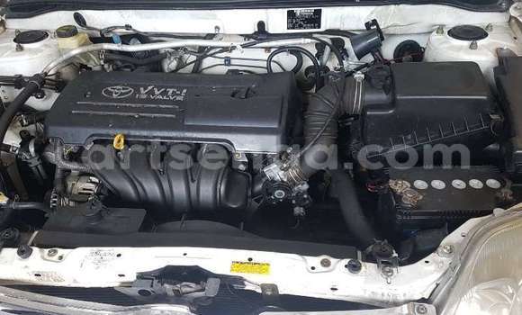 Acheter Occasion Voiture Toyota Corolla Blanc à Hlatikulu, Shiselweni District Acheter Occasion Voiture Toyota Corolla Blanc à Hlatikulu, Shiselweni District