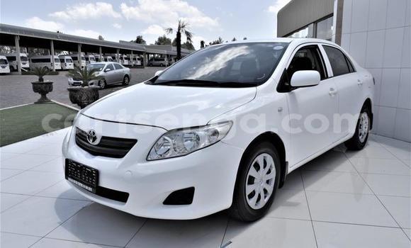 Acheter Occasion Voiture Toyota Corolla Blanc à Mbabane, Manzini