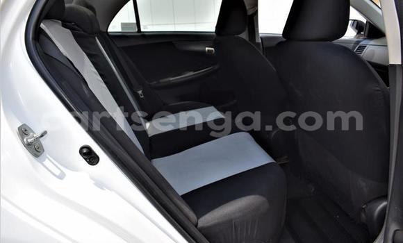 Buy Used Toyota Corolla White Car in Mbabane in Manzini Buy Used Toyota Corolla White Car in Mbabane in Manzini