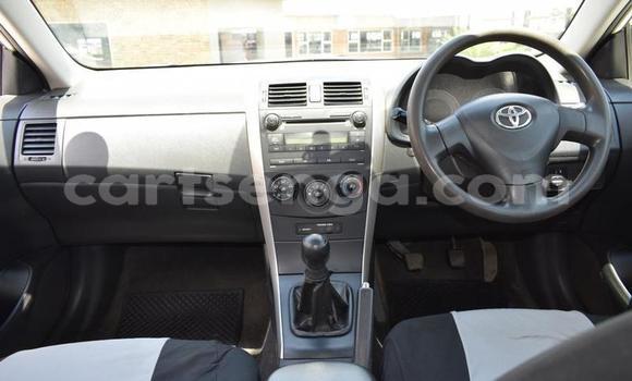 Buy Used Toyota Corolla White Car in Mbabane in Manzini Buy Used Toyota Corolla White Car in Mbabane in Manzini