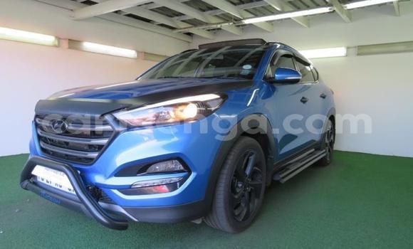 Buy Used Hyundai Tucson Blue Car in Manzini in Manzini Buy Used Hyundai Tucson Blue Car in Manzini in Manzini