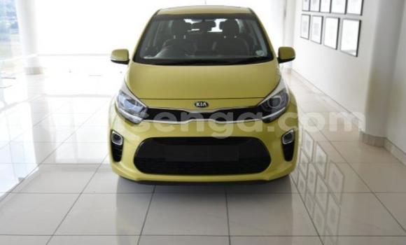 Buy Used Kia Picanto Other Car in Manzini in Manzini