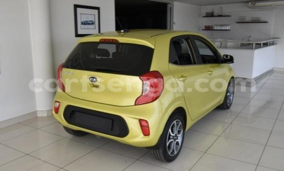 Buy Used Kia Picanto Other Car in Manzini in Manzini Buy Used Kia Picanto Other Car in Manzini in Manzini