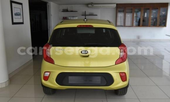 Buy Used Kia Picanto Other Car in Manzini in Manzini Buy Used Kia Picanto Other Car in Manzini in Manzini