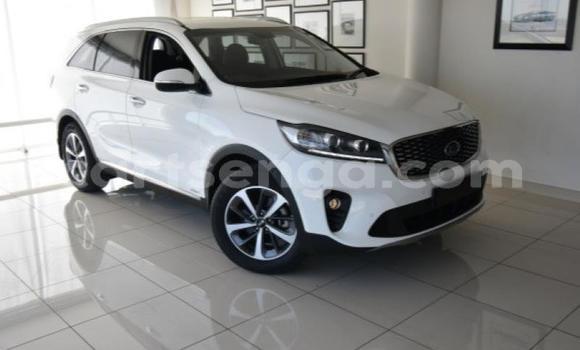 Buy Used Kia Sorento White Car in Manzini in Manzini Buy Used Kia Sorento White Car in Manzini in Manzini
