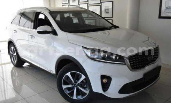 Buy Used Kia Sorento White Car in Manzini in Manzini Buy Used Kia Sorento White Car in Manzini in Manzini
