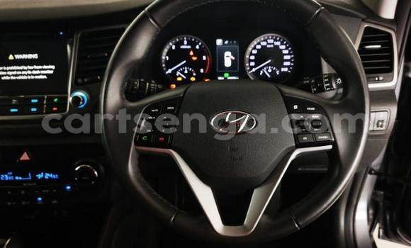 Acheter Occasion Voiture Hyundai Tucson Gris à Ezulwini, Hhohho Acheter Occasion Voiture Hyundai Tucson Gris à Ezulwini, Hhohho
