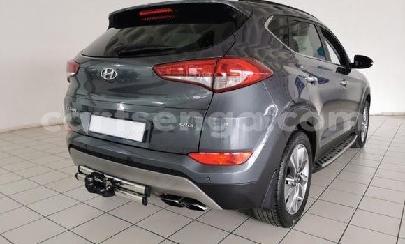 Acheter Occasion Voiture Hyundai Tucson Gris à Ezulwini, Hhohho Acheter Occasion Voiture Hyundai Tucson Gris à Ezulwini, Hhohho